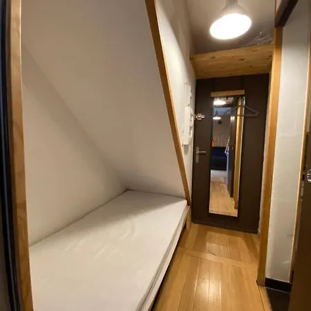 Boost Your Immo Pluton 893 Apartment Les Deux Alpes